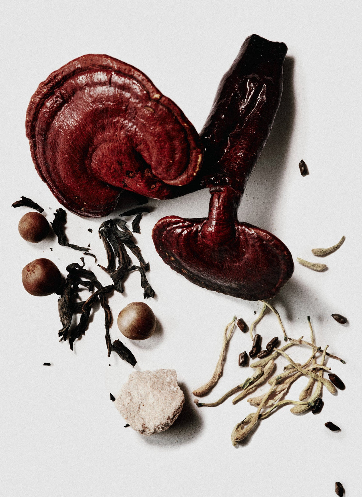 How Did Chinese Medicine Become “Traditional”?