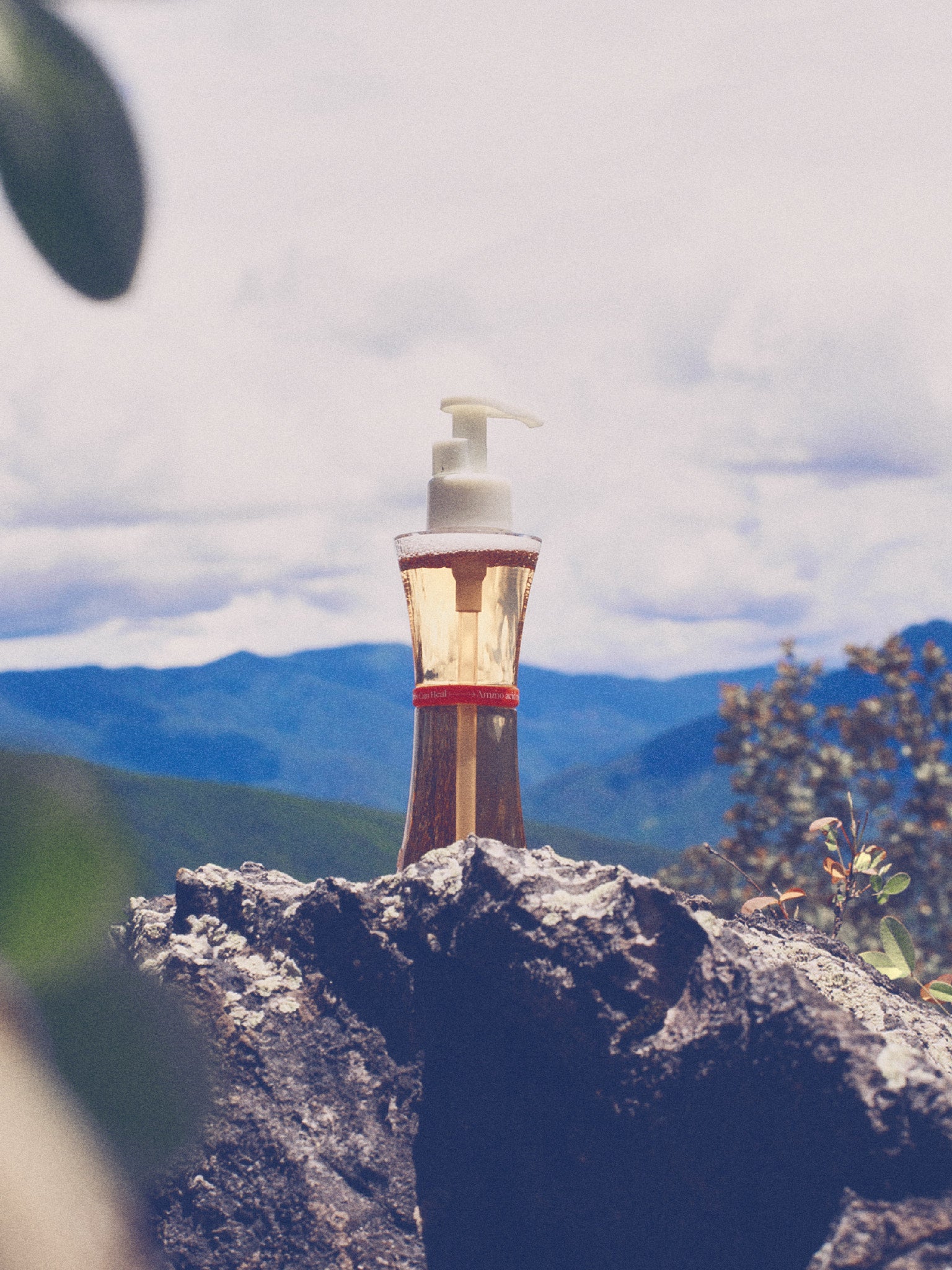 Rose Pu'Er Cleanser