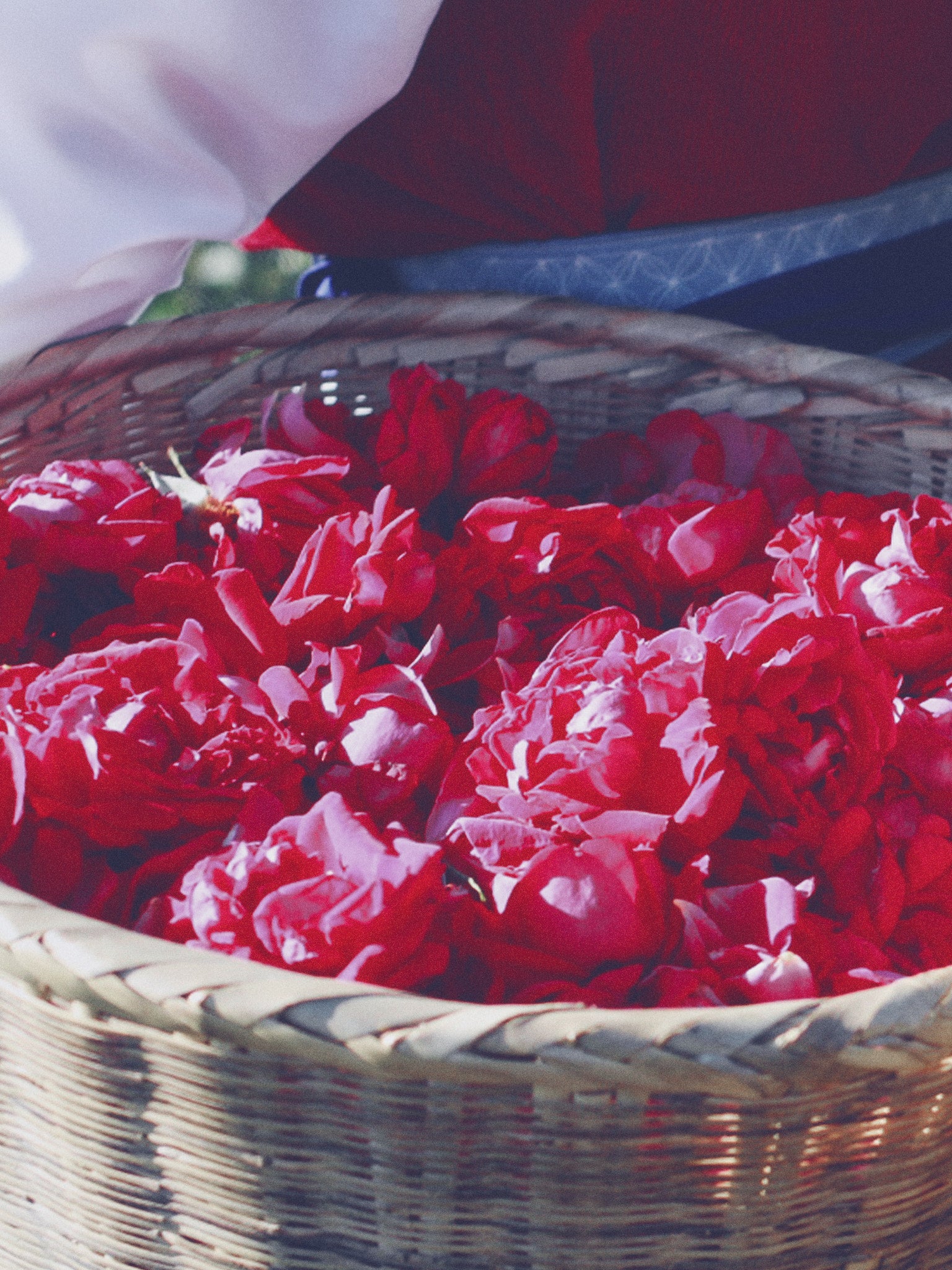Reishi Rose Dew Hand Cream
