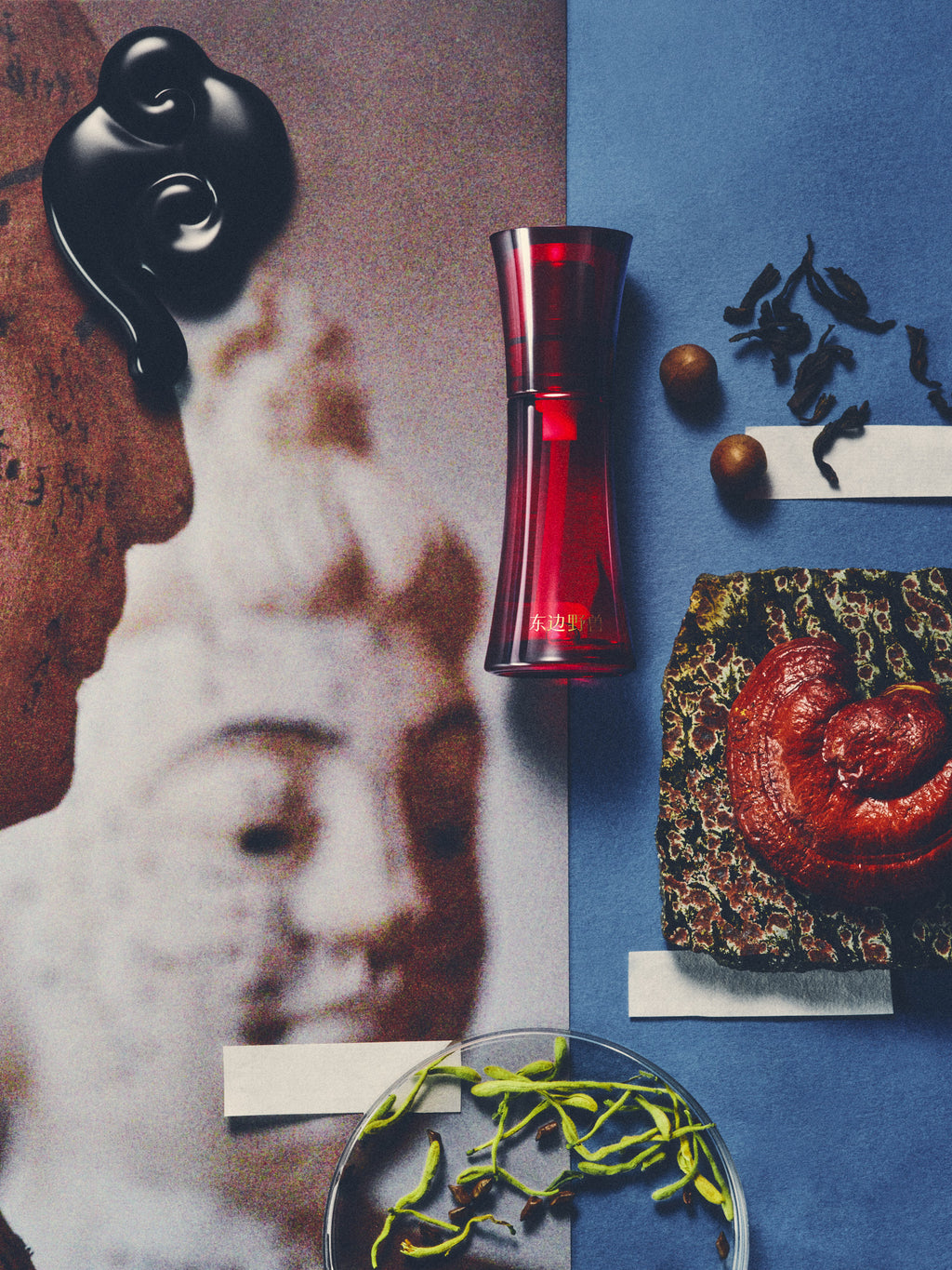 Reishi Repair Eye Serum