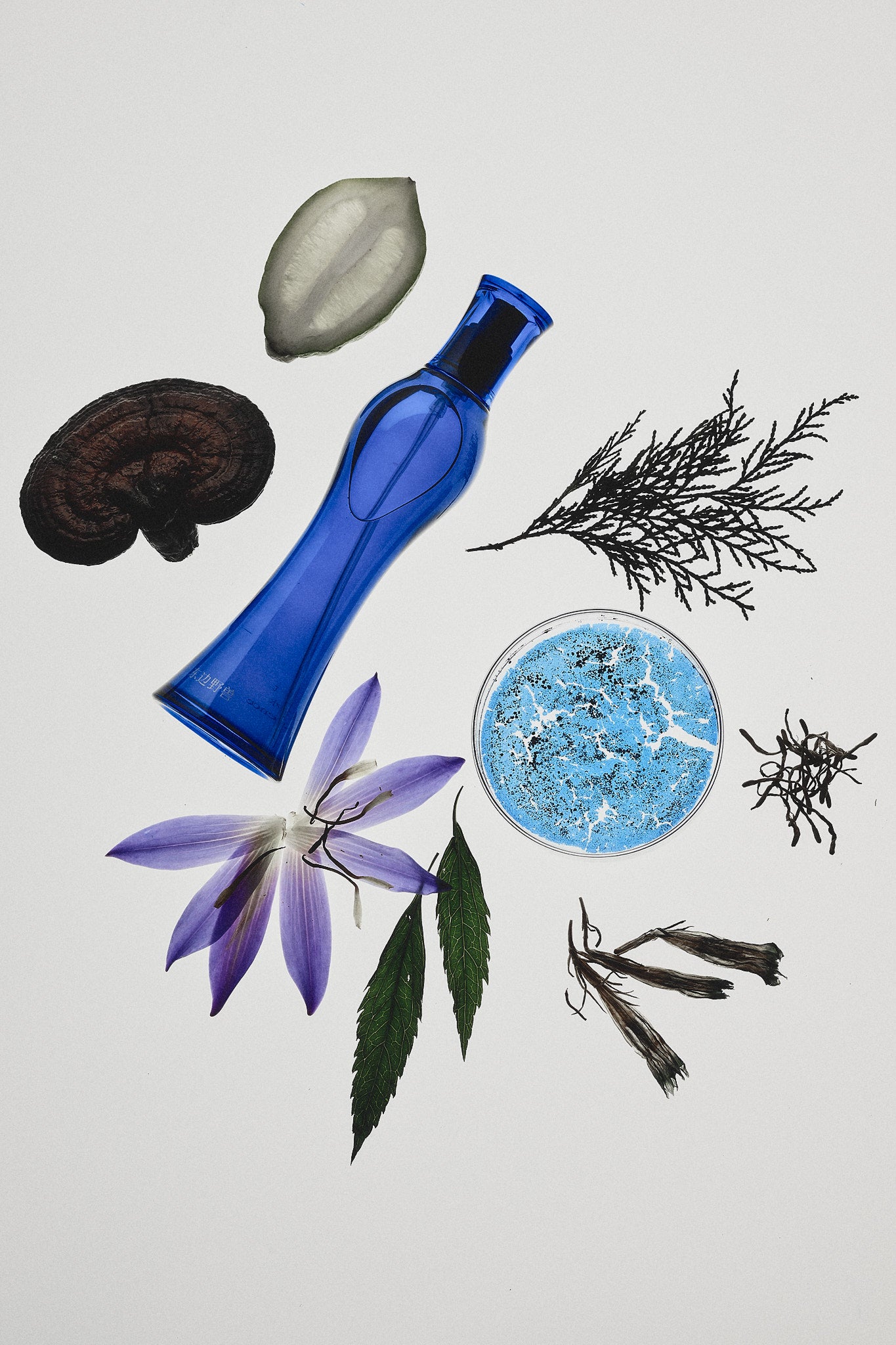 Jing Purifying Essence