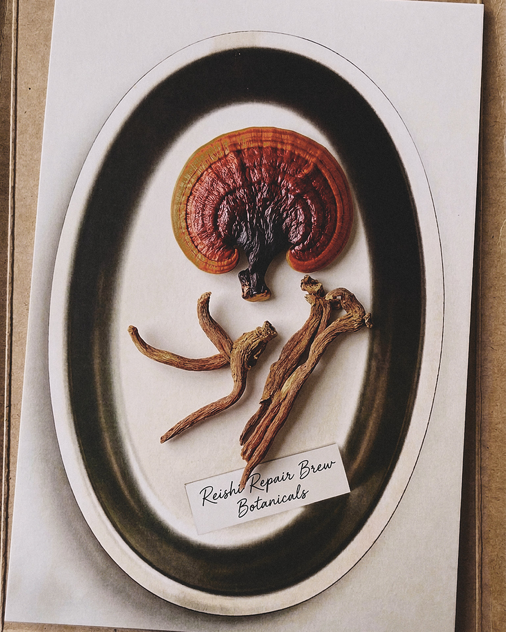 Reishi Repair Essence