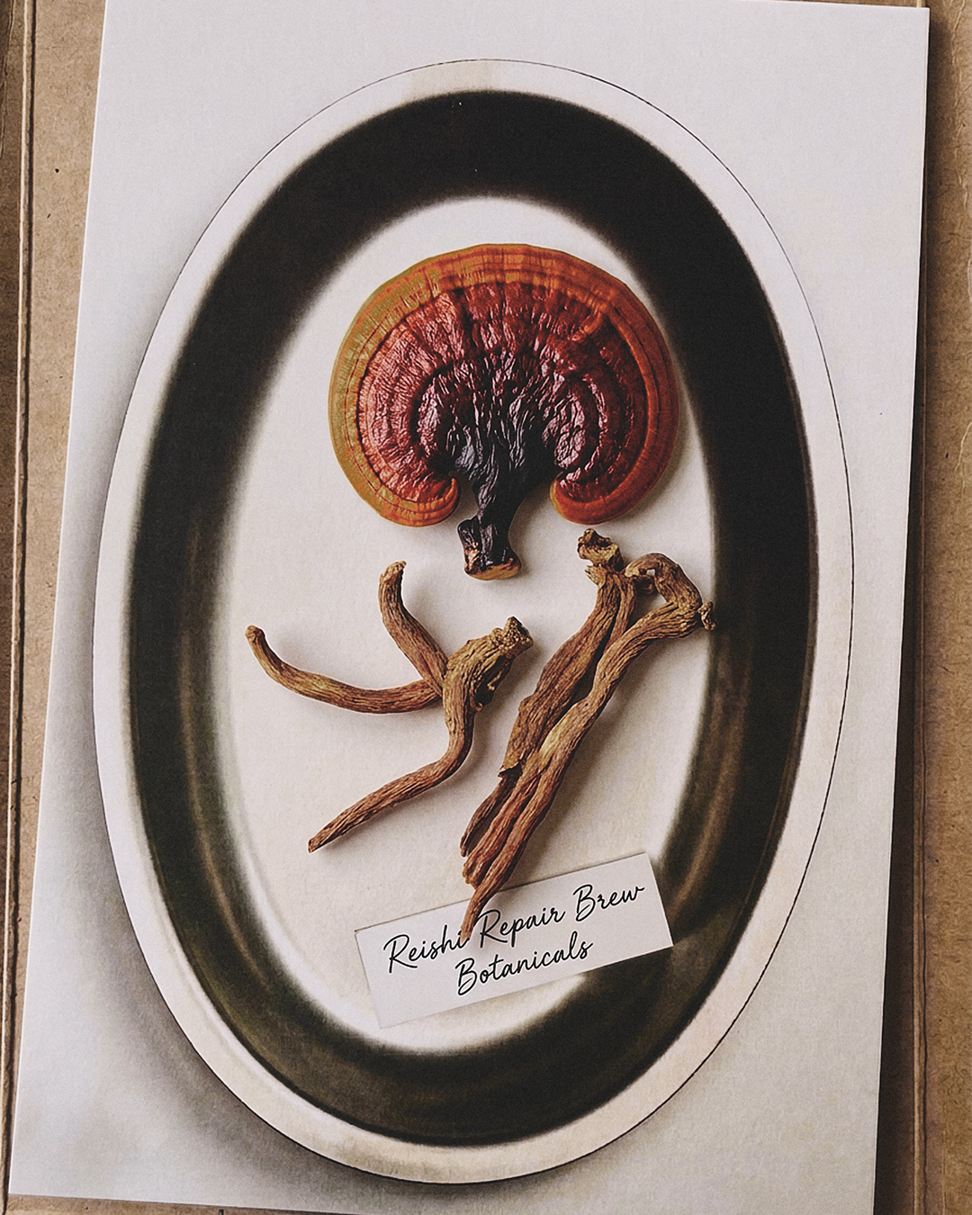 Reishi Repair Essence
